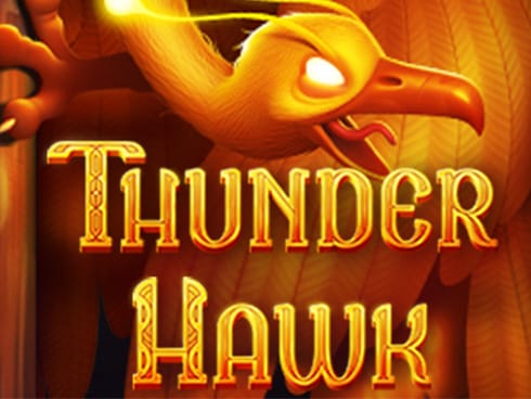 Thunder Hawk thumbnail